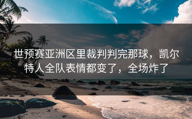 世预赛亚洲区里裁判判完那球，凯尔特人全队表情都变了，全场炸了